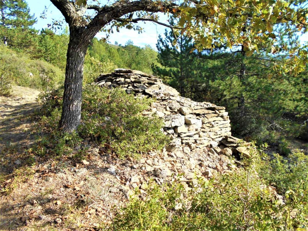 Maison Palmeral Coustaussa Kültér fotó