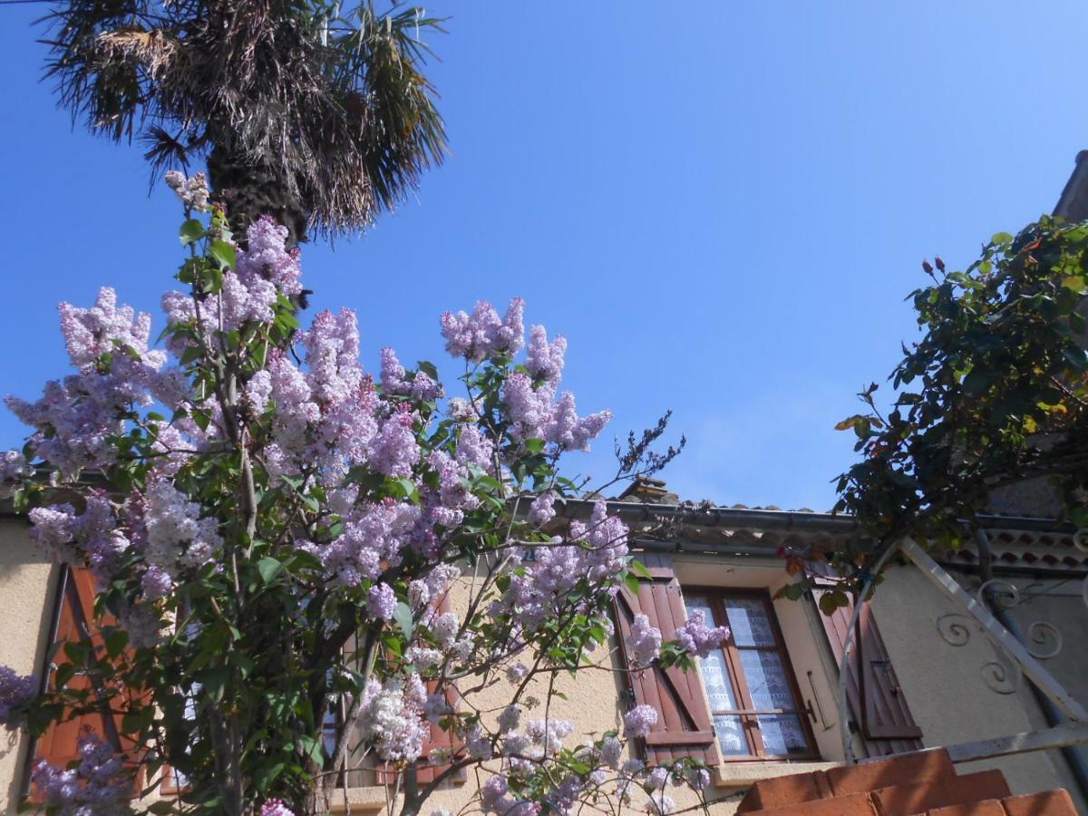 Maison Palmeral Coustaussa Kültér fotó
